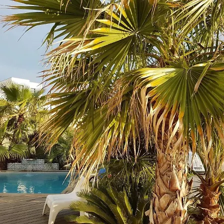Les Palmiers Bed & Breakfast *