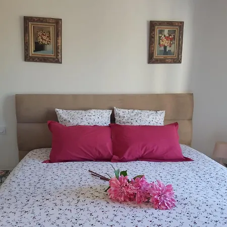 Les Palmiers Bed & Breakfast *
