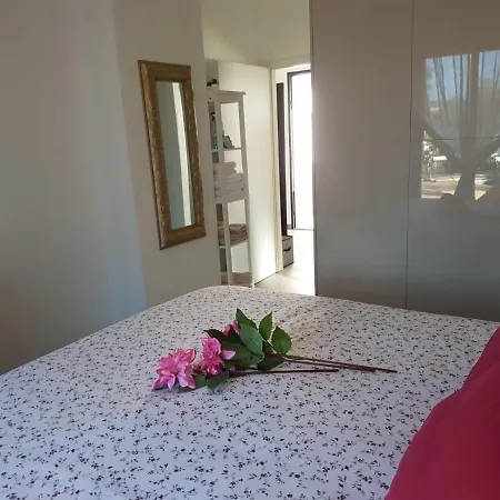 Les Palmiers Bed & Breakfast *